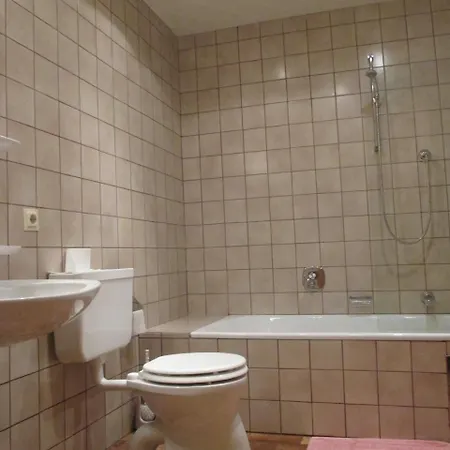 Hirschen Mini-hôtel 2*